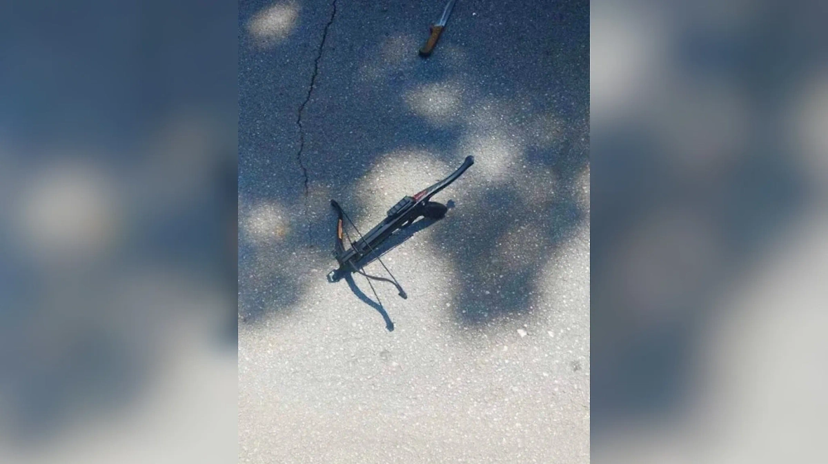 Арбалет, из которого ранили полицейского. Фото © X / Nexta