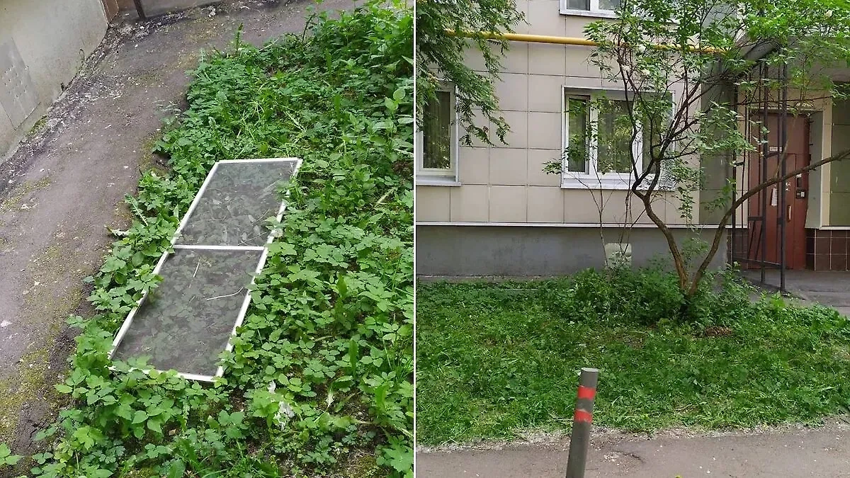 Москитная сетка, на которую оперлась девочка в Москве и выпала. Обложка © Telegram / Прокуратура Москвы