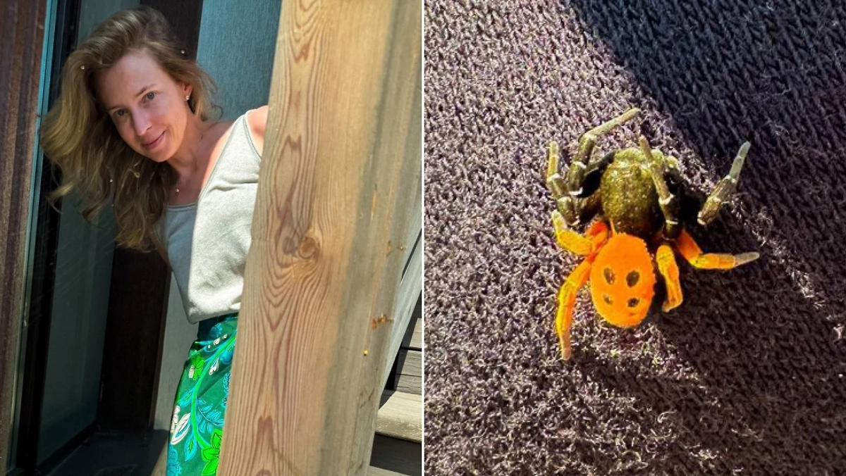 Наталья Поклонская без макияжа. Обложка © Telegram / Наталья Поклонская