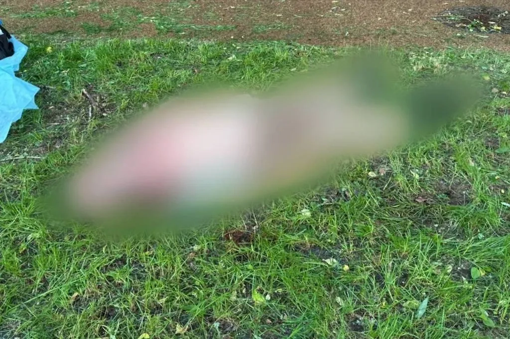 Мужчину убили ударом ножа в сердце на глазах у внучек в Москве. Обложка © Telegram / Столичный СК