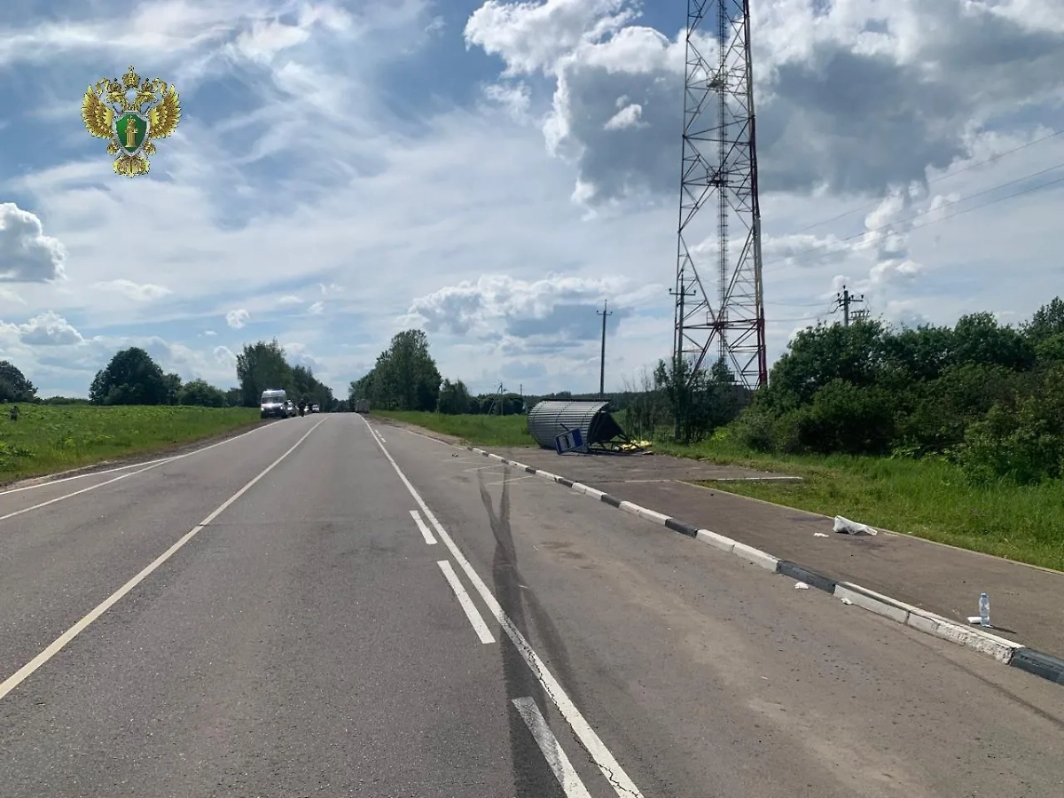 Остановка после ДТП в Подмосковье. Фото © Telegram / Прокуратура Московской области