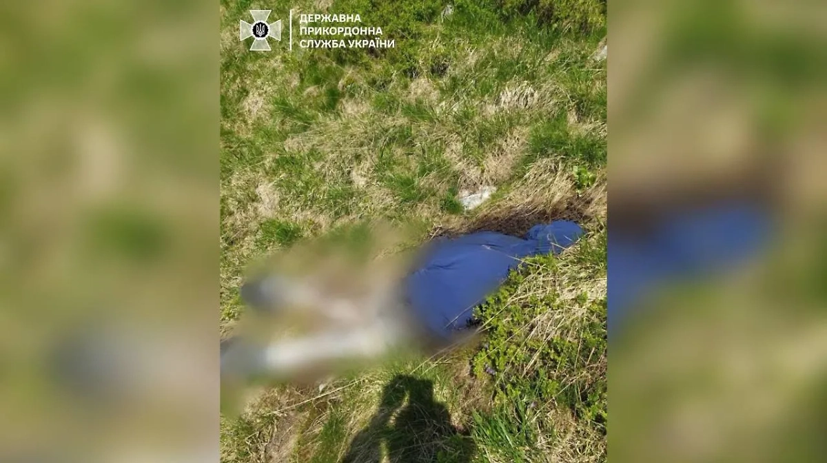 Фото с места. Обложка © Telegram / ДПСУ | Держприкордонслужба