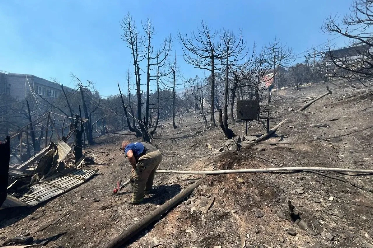 Специалисты экстренных служб на протяжении нескольких часов борются с возгоранием на Кубани. Обложка © Telegram / Алексей Одеров