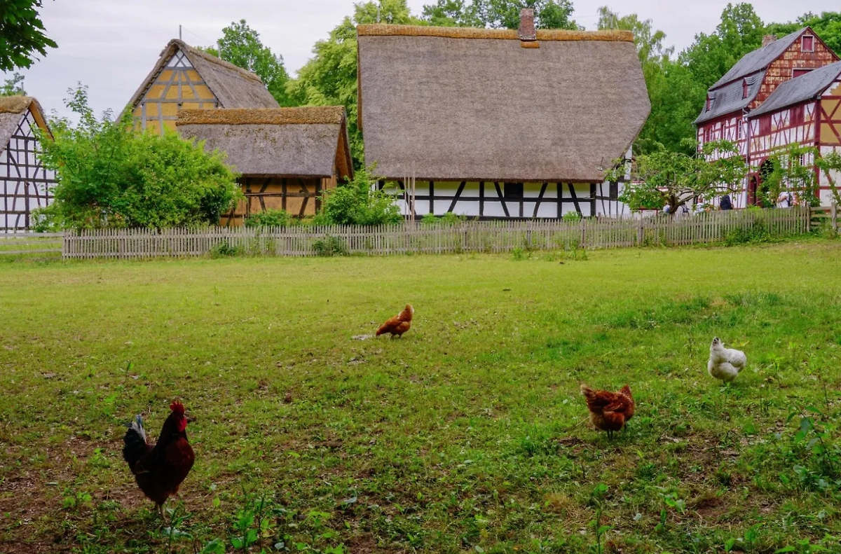Типичный пример классического европейского стиля — это одноэтажное здание с мансардой и подвалом с небольшими окнами и всегда крутой крышей. Фото © Freepik.com / wirestock