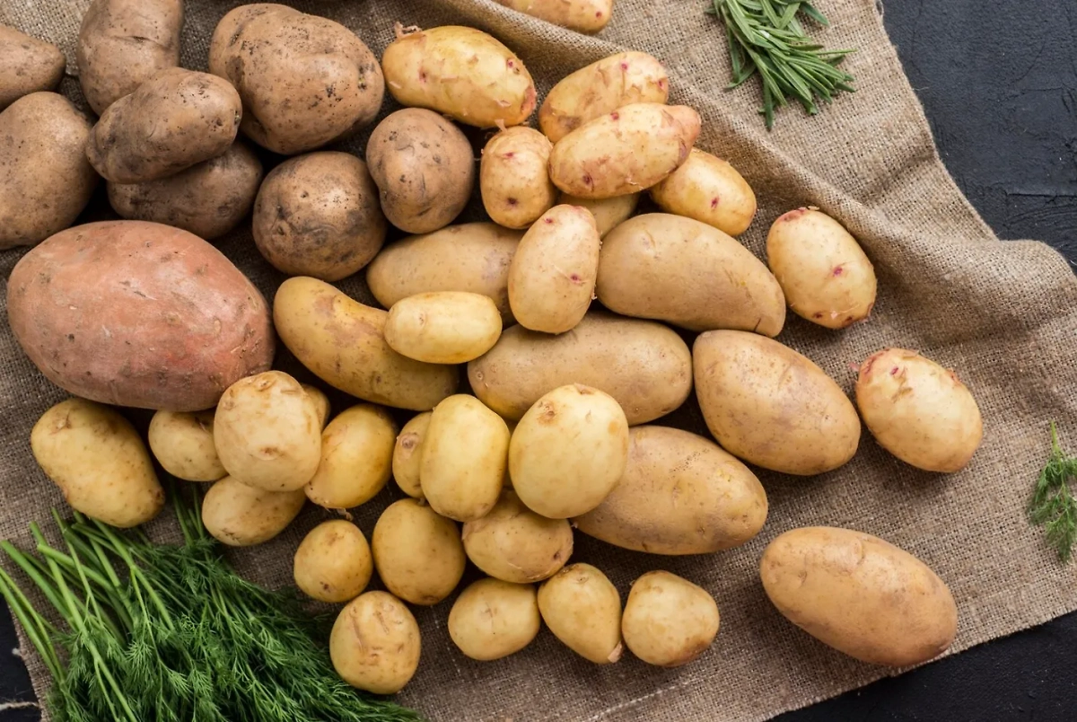 Нельзя есть картофель, если кожура имеет зелёный оттенок. Обложка © Freepik.com