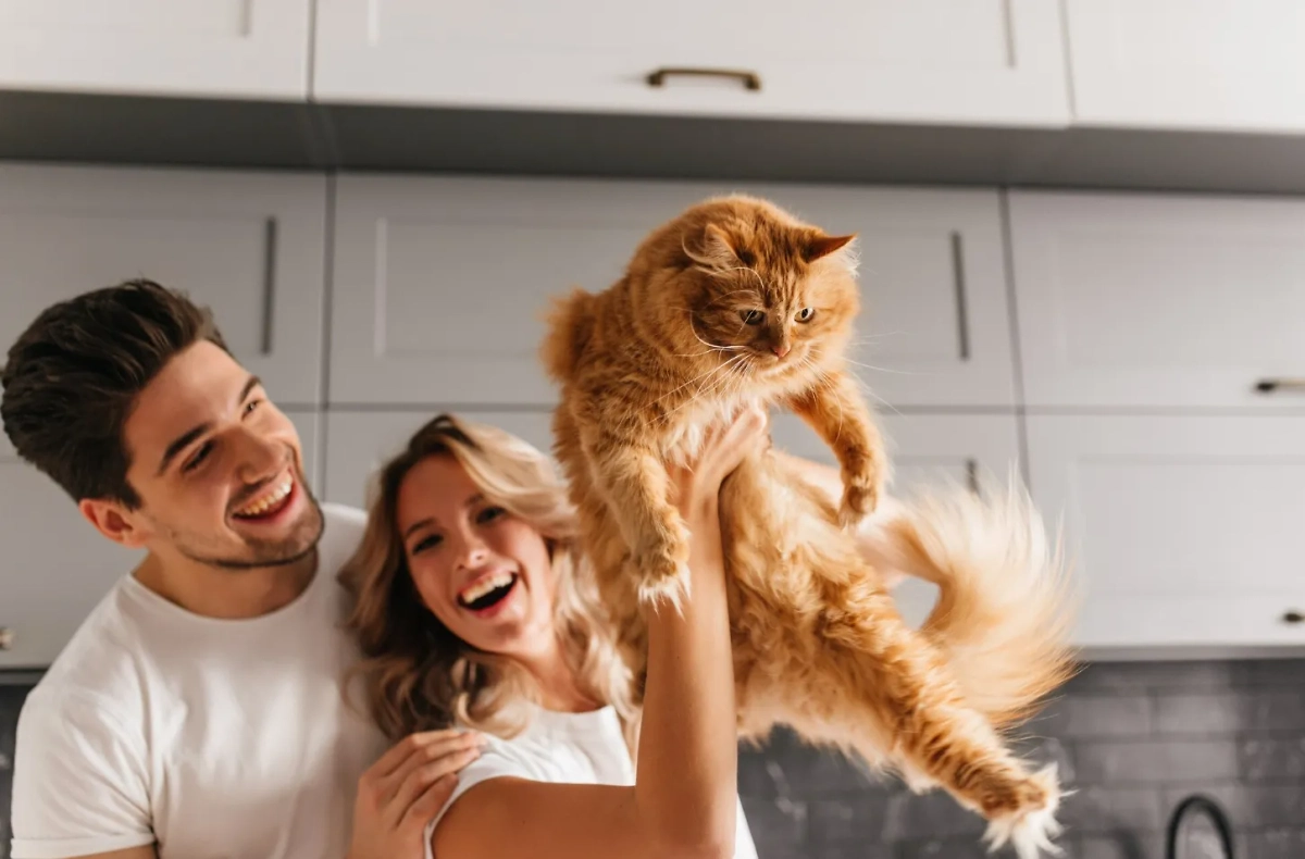 Рыжие кошки: что нужно узнать о характере перед тем, как завести? Фото © Freepik / lookstudio