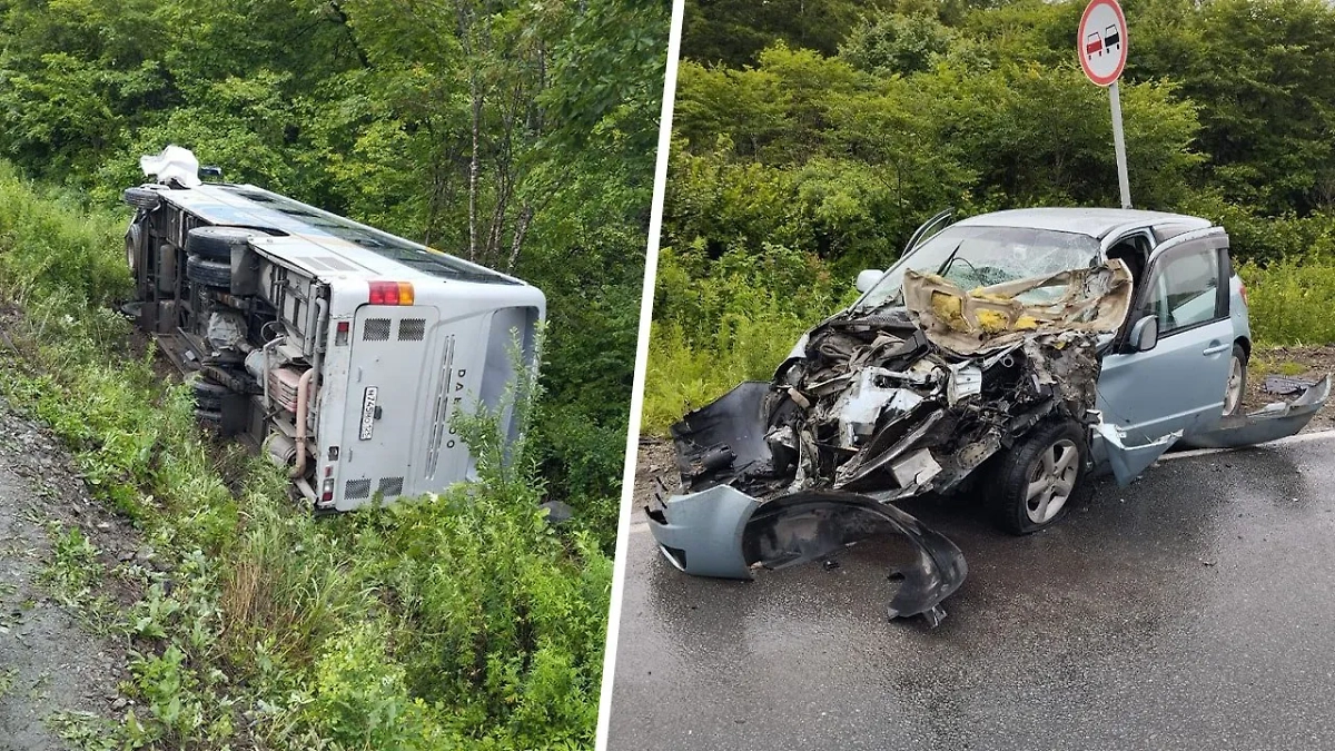 Полиция проводит проверку по факту ДТП в ЗАТО Фокино. Обложка © Telegram / Полиция Приморья