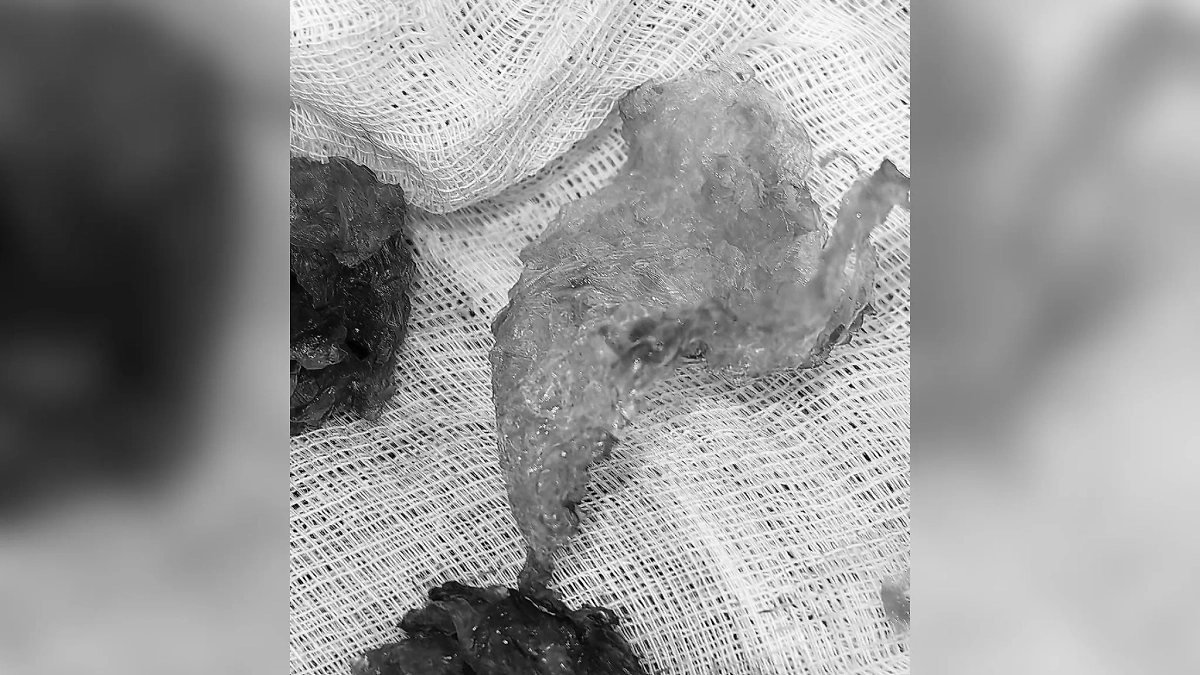 Обложка © Министерство здравоохранения Московской области