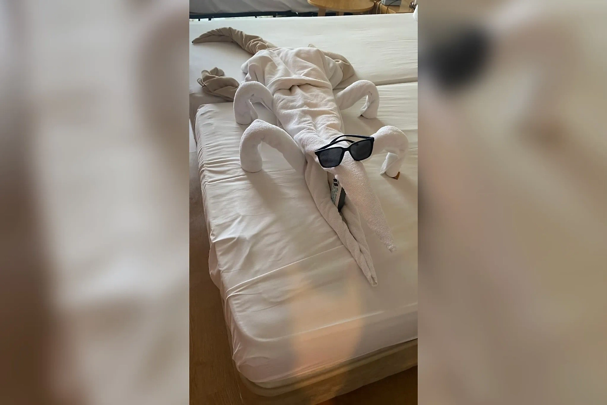 Фото © X / sirdimitry