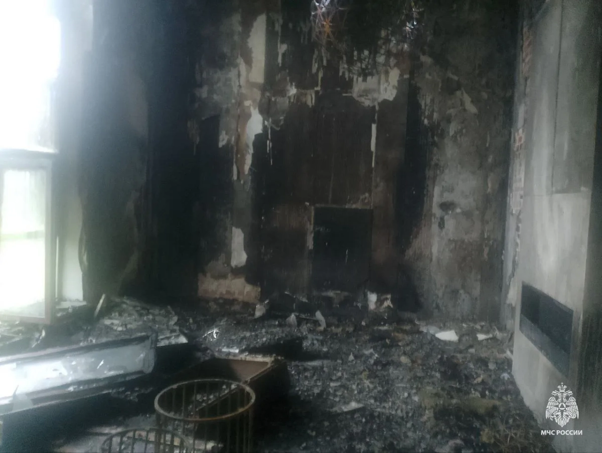 Последствия пожара. Фото © Telegram/МЧС Московской области