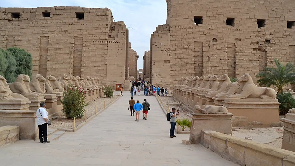 В храме фараона Рамзеса Второго были найдены 2000 мумифицированных бараньих голов. Фото © Shutterstock / FOTODOM / SHEOUDA MORIS