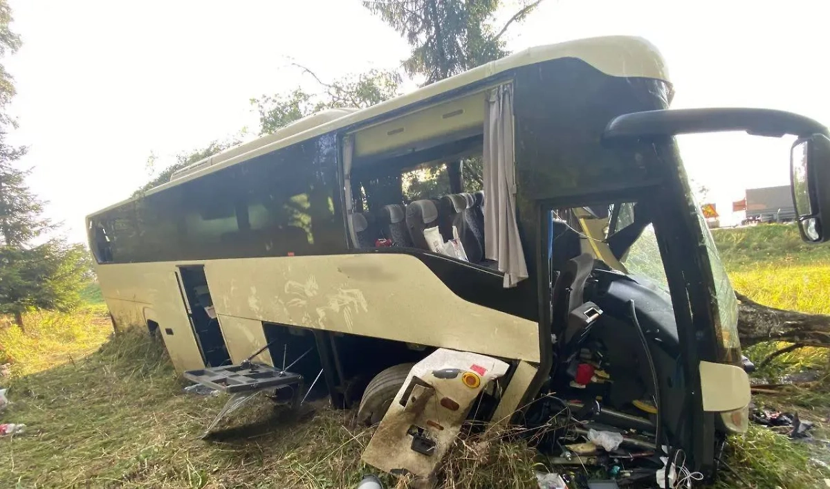 В результате ДТП в Белоруссии пострадало три человека. Обложка © Telegram / МВД Беларуси