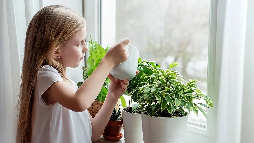 Ядовитые домашние растения, от которых стоит держать детей подальше. Обложка © Shutterstock / FOTODOM / Olena Rudo