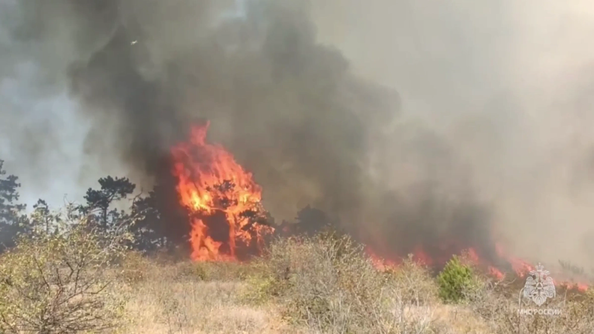 Пожар в Феодосии. Обложка © Telegram / МЧС РФ