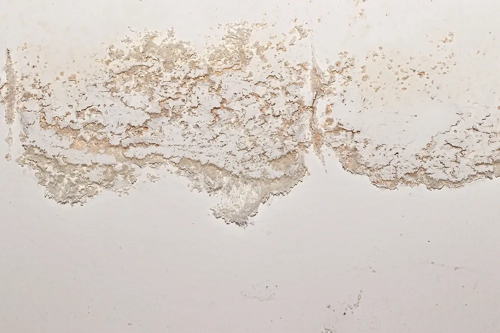 Пятна в доме: когда стоит забить тревогу? Фото © Shutterstock / FOTODOM / IamTK