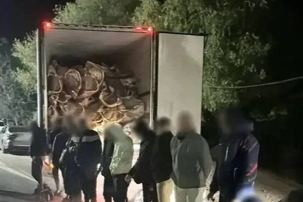 Задержание 16 уклонистов, которые пытались покинуть Украину в рефрижераторе. Обложка © Telegram / Національна поліція України