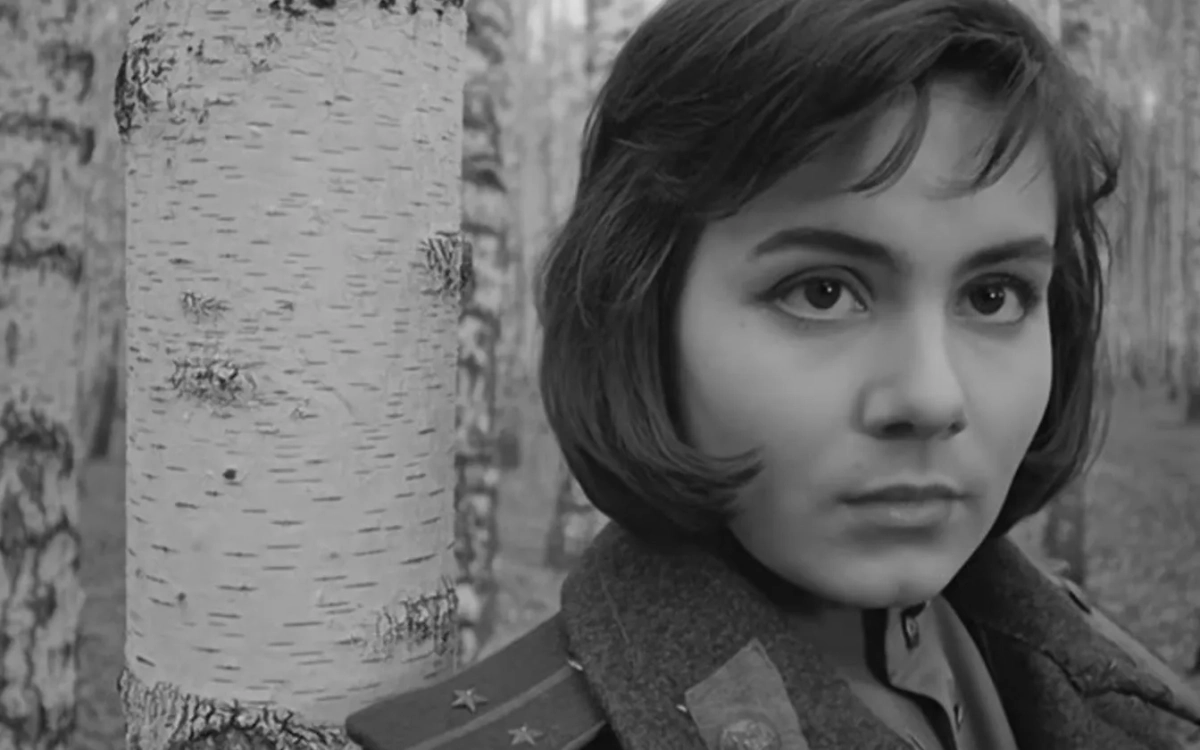 Валентина Малявина: обвинение в убийстве и тюрьма. Кадр из фильма "Иваново детство", режиссёр Андрей Тарковский, сценарист Михаил Папава / Kinopoisk