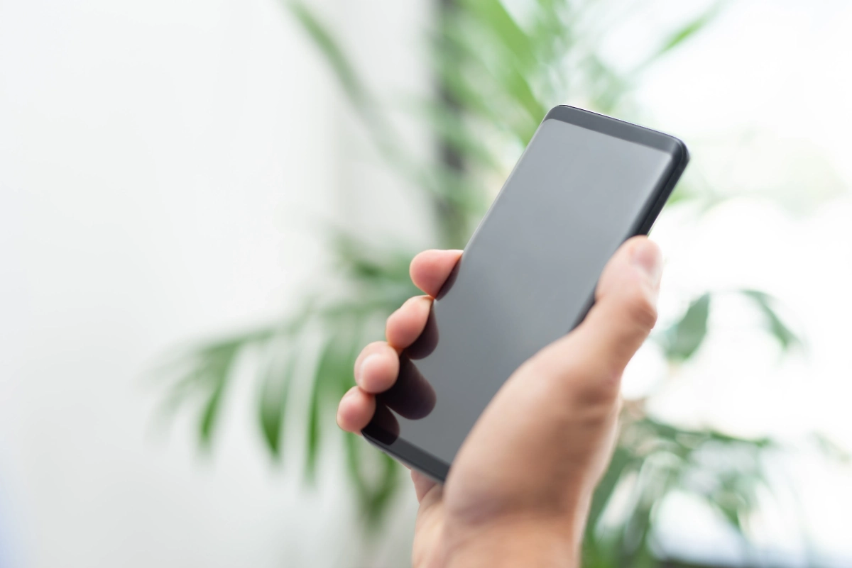 Жителям Курской области сделали бесплатный интернет и связь. Обложка © freepik / katemangostar