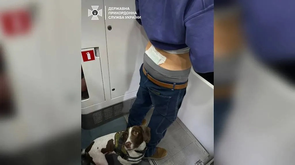 Гражданин Франции пытался ввезти на Украину 13 граммов наркотиков, скрыв их повязкой. Обложка © Telegram / Госпогранслужба Украины