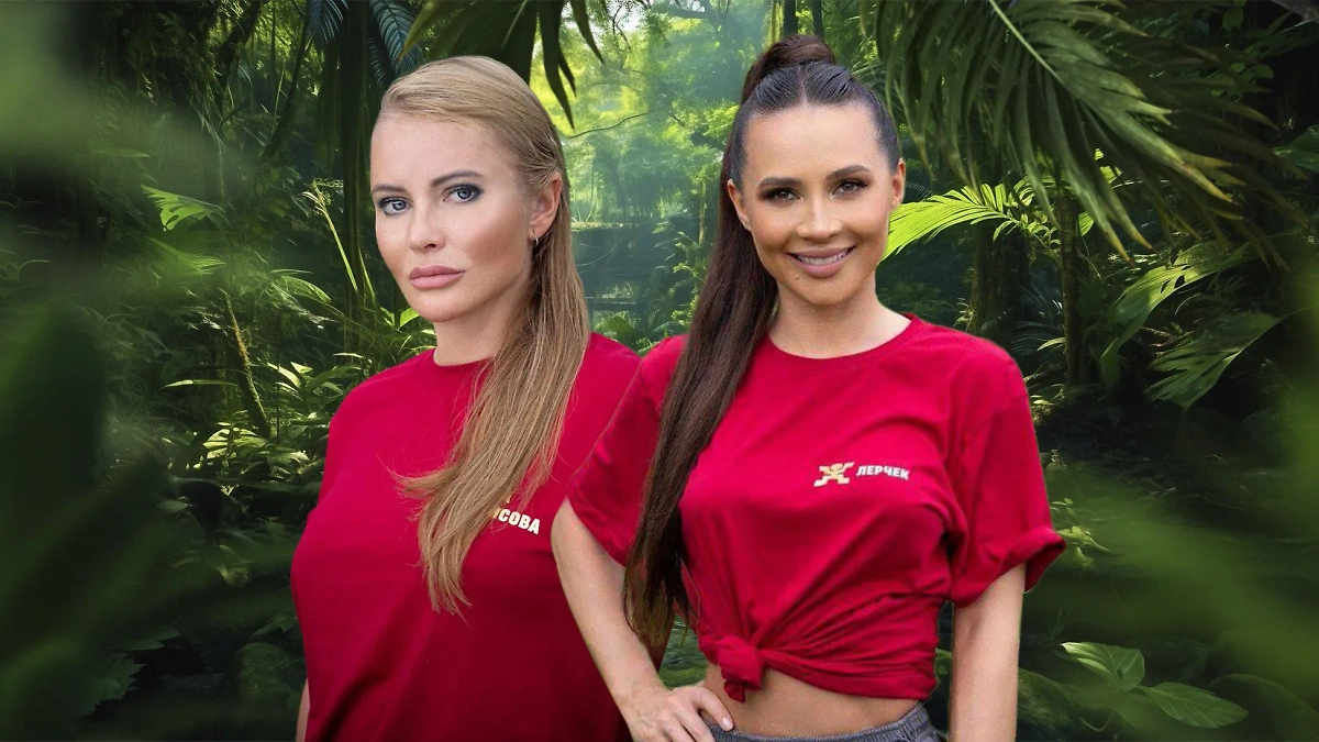 Телеведущая Дана Борисова и блогерша Лерчек. Коллаж © Life.ru. Обложка © Telegram / vsereality, © Freepik