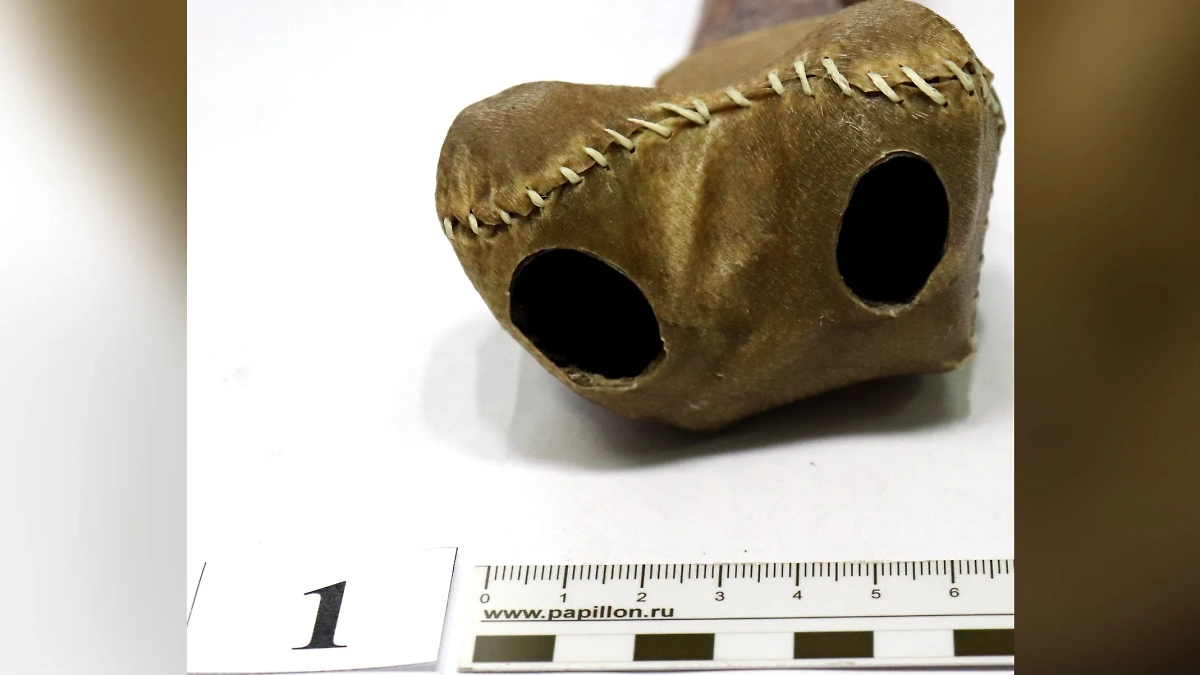 Московские таможенники нашли в посылке ритуальную флейту из человеческой кости. Фото © ФТС России