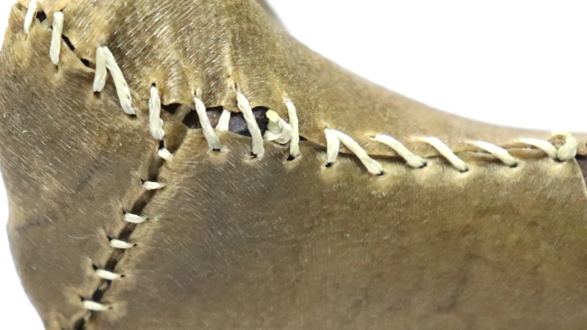 Чехол из человеческой кожи, найденный в посылке из Германии. Фото © ФТС России