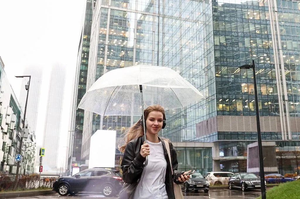 В Москве 2023 год оказался одним из самых тёплых. Обложка © ТАСС / Сергей Бобылев