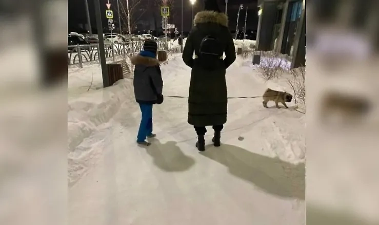 Ребёнок гуляет без обуви в Екатеринбурге. Обложка © VK / "Инцидент | Свердловская область"