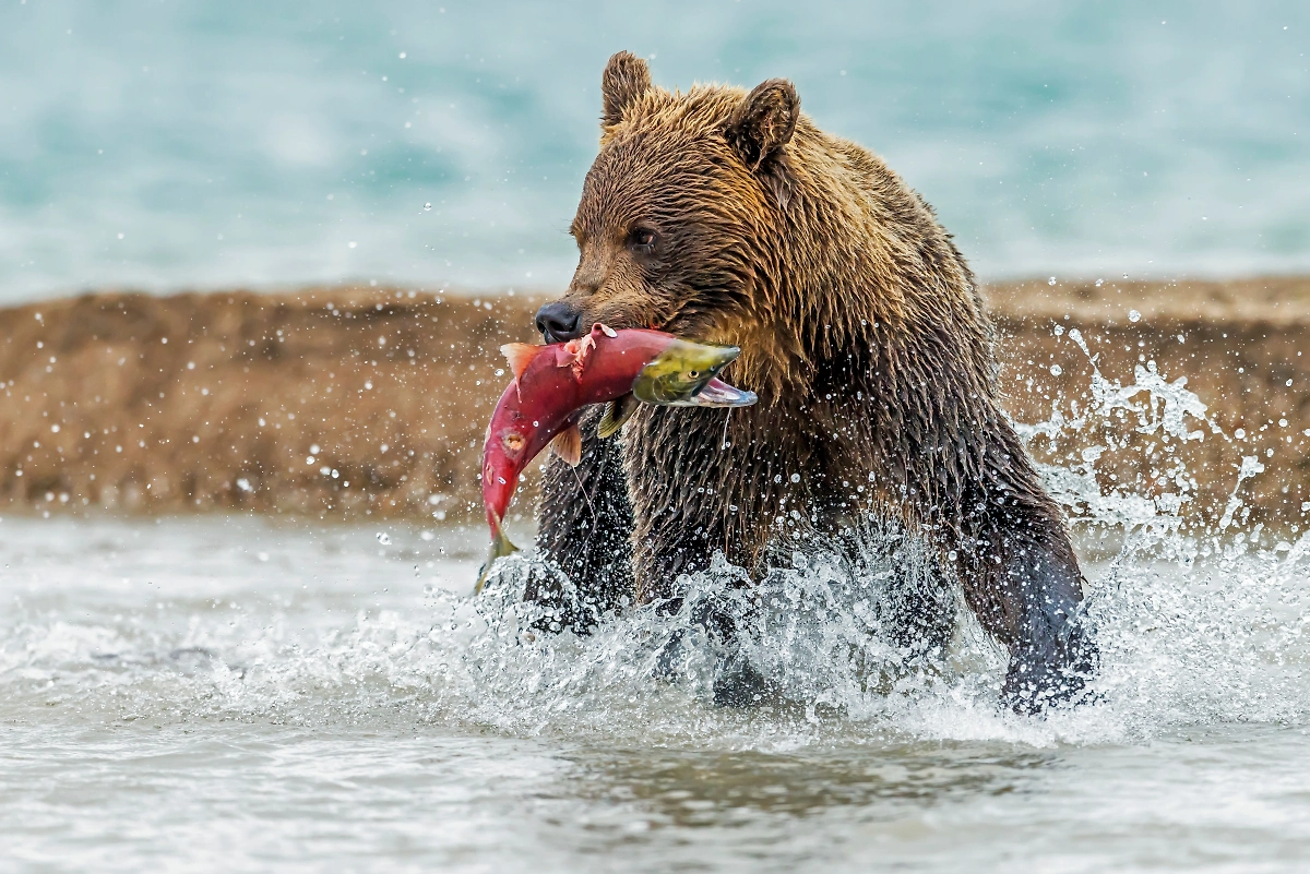 Фото © Shutterstock 