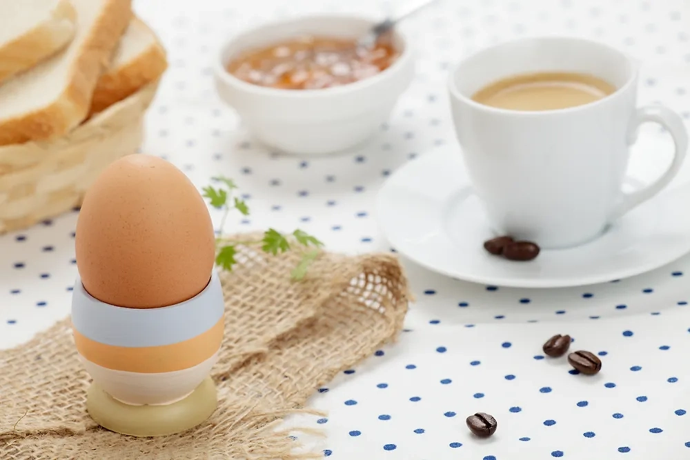 Обложка © Shutterstock