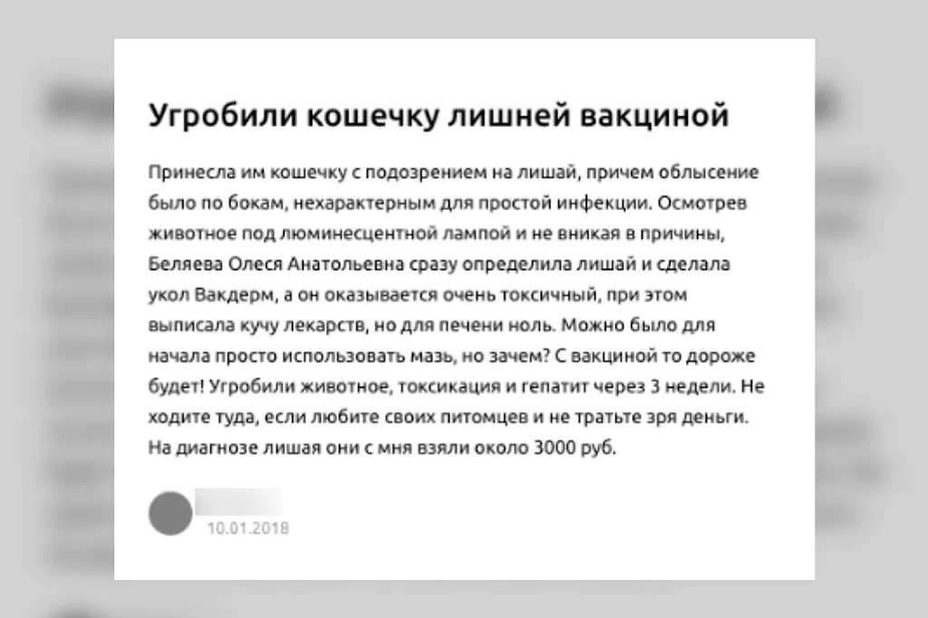 Типичные жалобы на ветеринарные клиники. Фото © Life