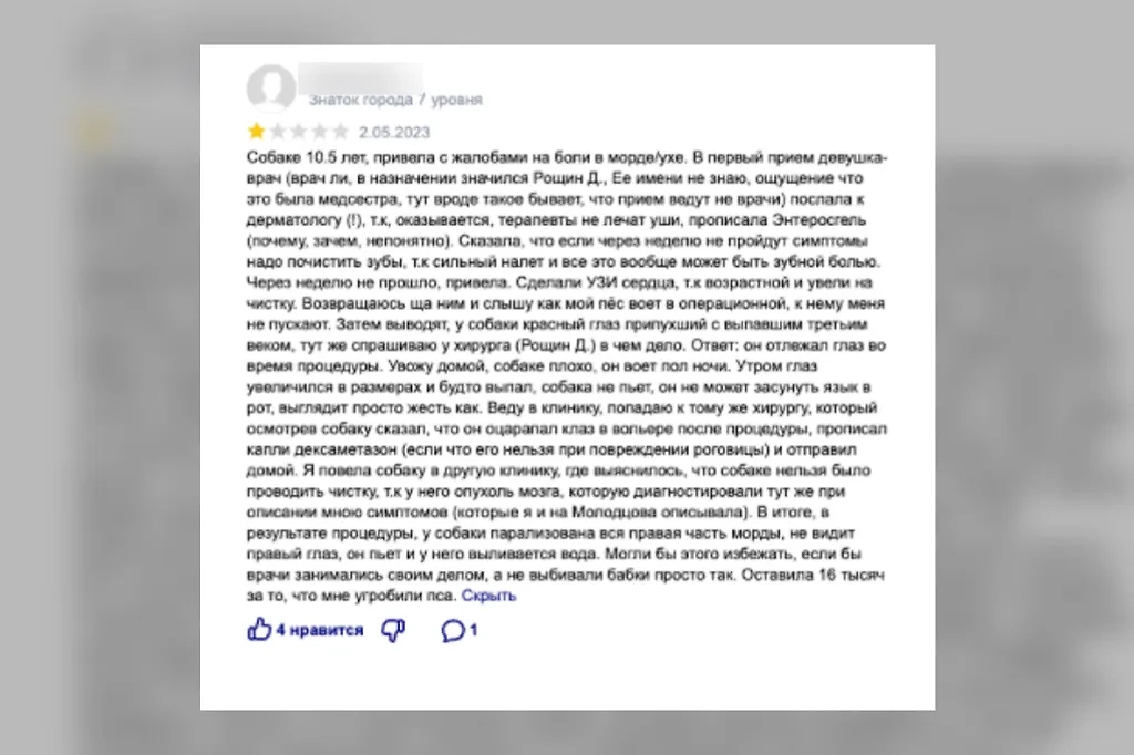 Типичные жалобы на ветеринарные клиники. Фото © Life