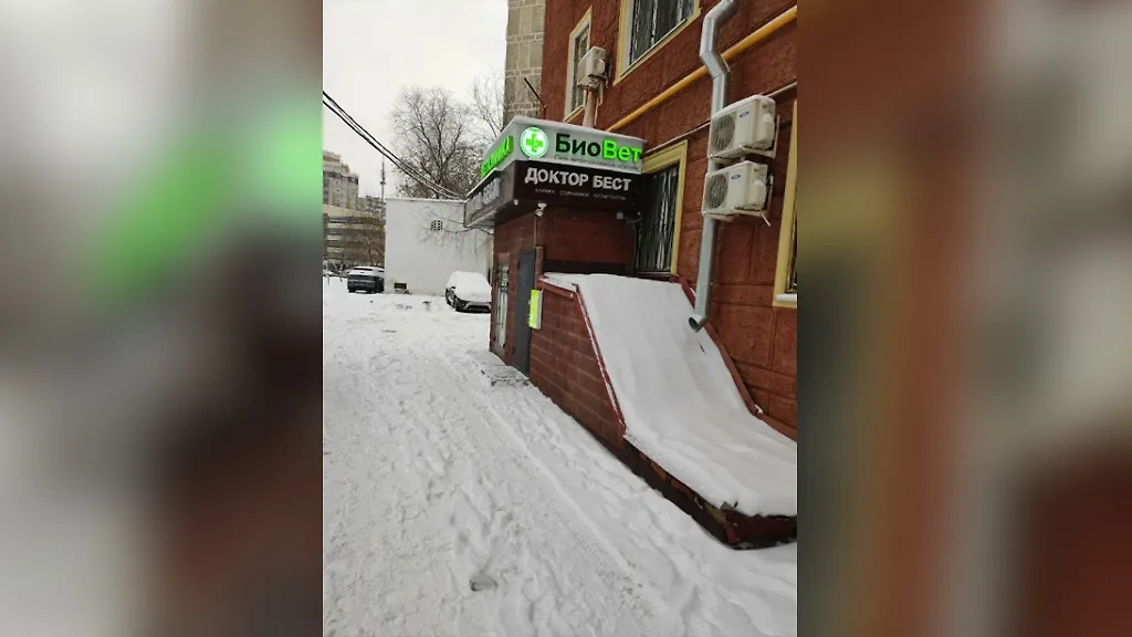 Бывает, что в одном подвале жилого дома сразу два веткабинета. Фото © yandex.ru / maps