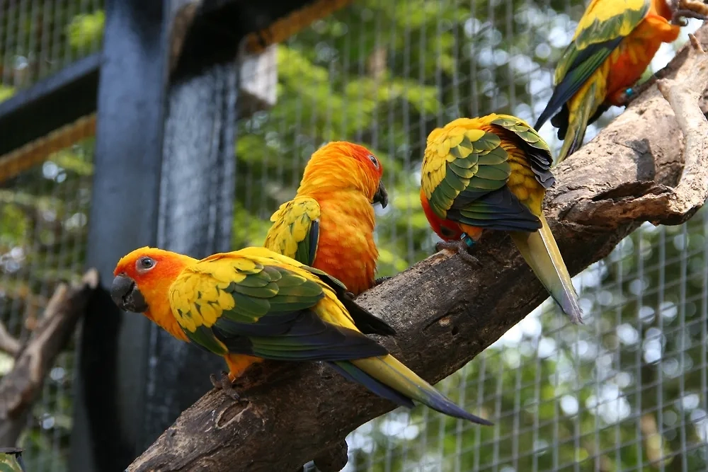 Обложка © Shutterstock