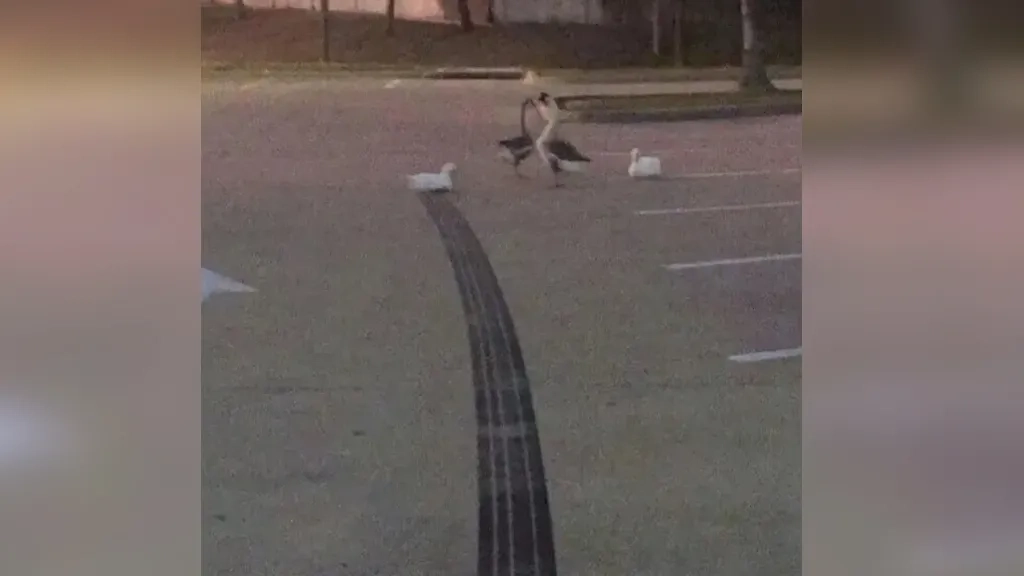 Фото © Facebook (соцсеть запрещена в РФ; принадлежит корпорации Meta, которая признана в РФ экстремистской) / Please may I have a crumb of context