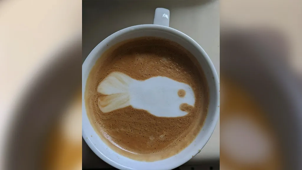 Фото © Reddit / Znekcihc