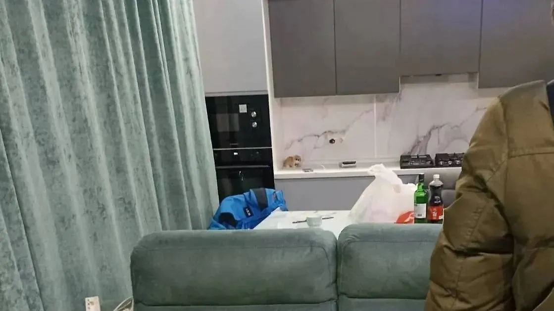 Дом, где нашли тела трёх спортсменов, в Тверской области. Обложка © Telegram / Прокуратура Тверской области