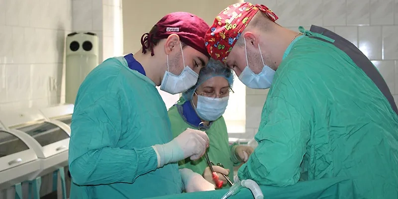 Сотрудники Пушкинской больницы им. Розанова В.Н за работой. Обложка © Пушкинская больница им. Розанова В.Н