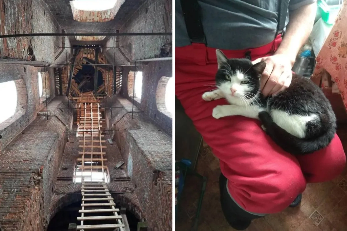Георгий со спасённым котом Василием. Фото © t.me / Кот на дереве