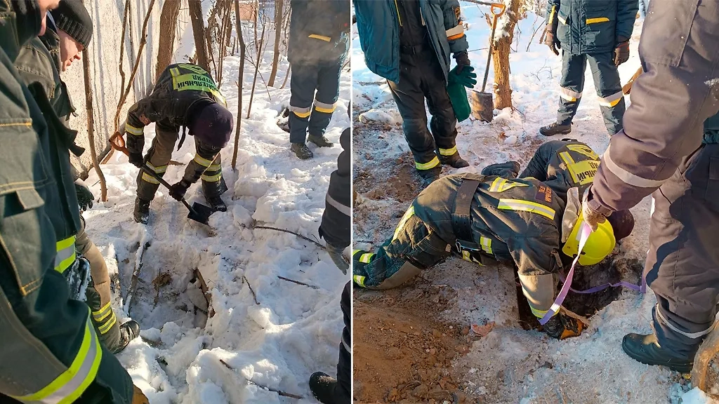 Сотрудники общественного поисково-спасательного отряда "Спасрезерв" вытащили собаку из-под бетонной плиты в Москве. Фото © Telegram / "Спасатели Спасрезерв"