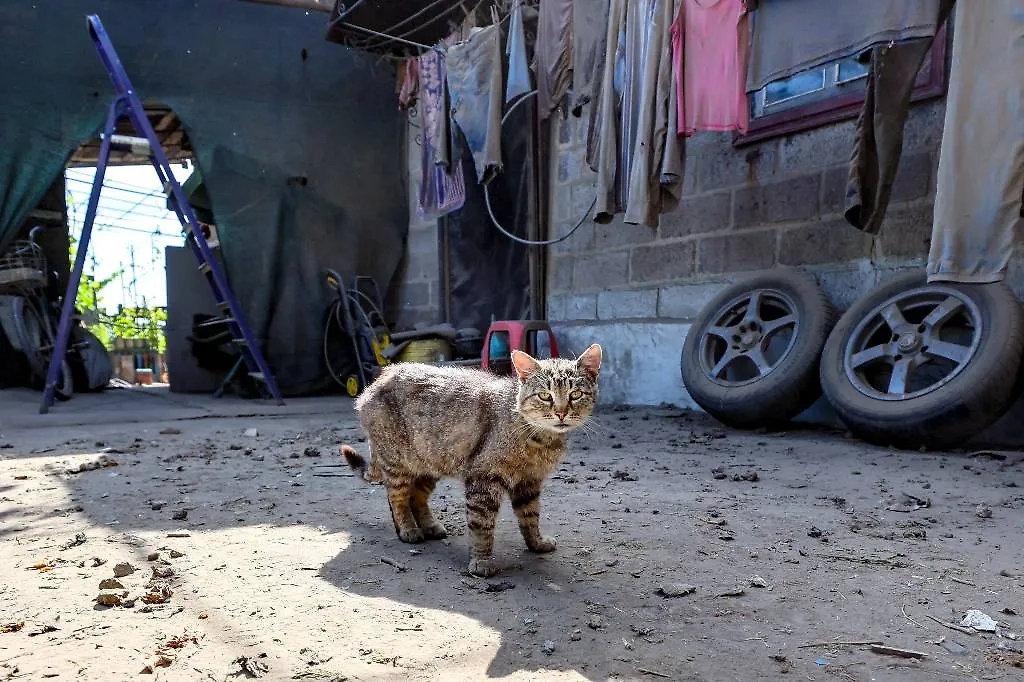 Бои за Угледар в ДНР велись два года. Обложка © Дмитрий Ягодкин / ТАСС
