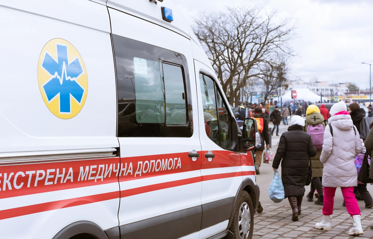 Обложка © Shutterstock.com / FOTODOM/ Iryna Mylinska