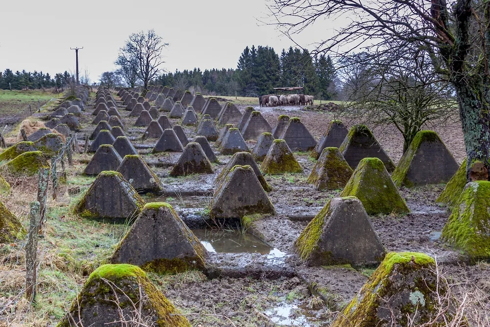 «Зубы дракона». Фото © Shutterstock / FOTODOM / Gottfried Carls