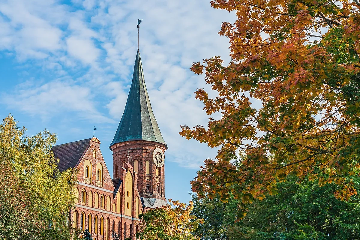 Калининград. Обложка © Shutterstock / FOTODOM / Makar Mosin