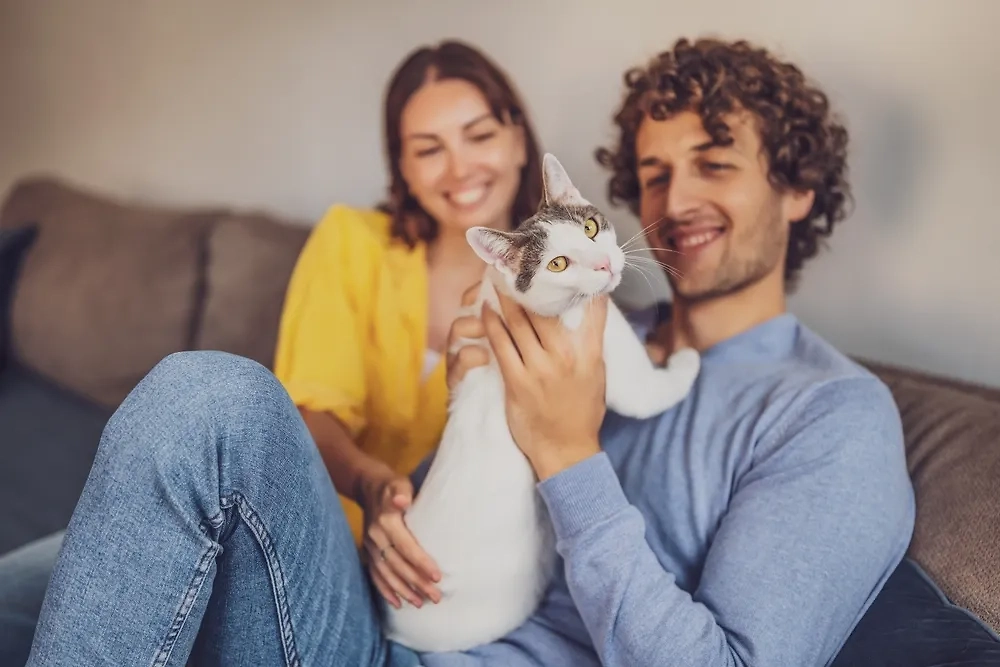 Кошек выбирают спокойные, уравновешенные и ответственные люди, которые уважают личное пространство, как своё, так и питомца. Фото © Shutterstock / FOTODOM / Mladen Mitrinovic