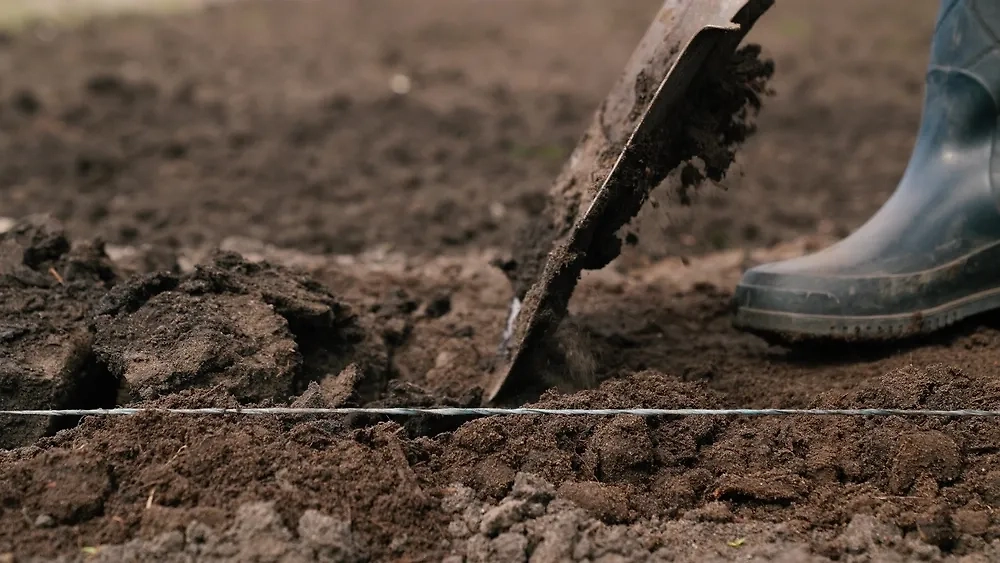 Какие есть минусы, если хотите посадить в огороде под зиму растения. Фото © Shutterstock / FOTODOM / Valery Zotev