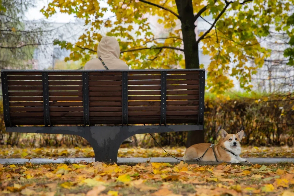 Обложка © Life.ru