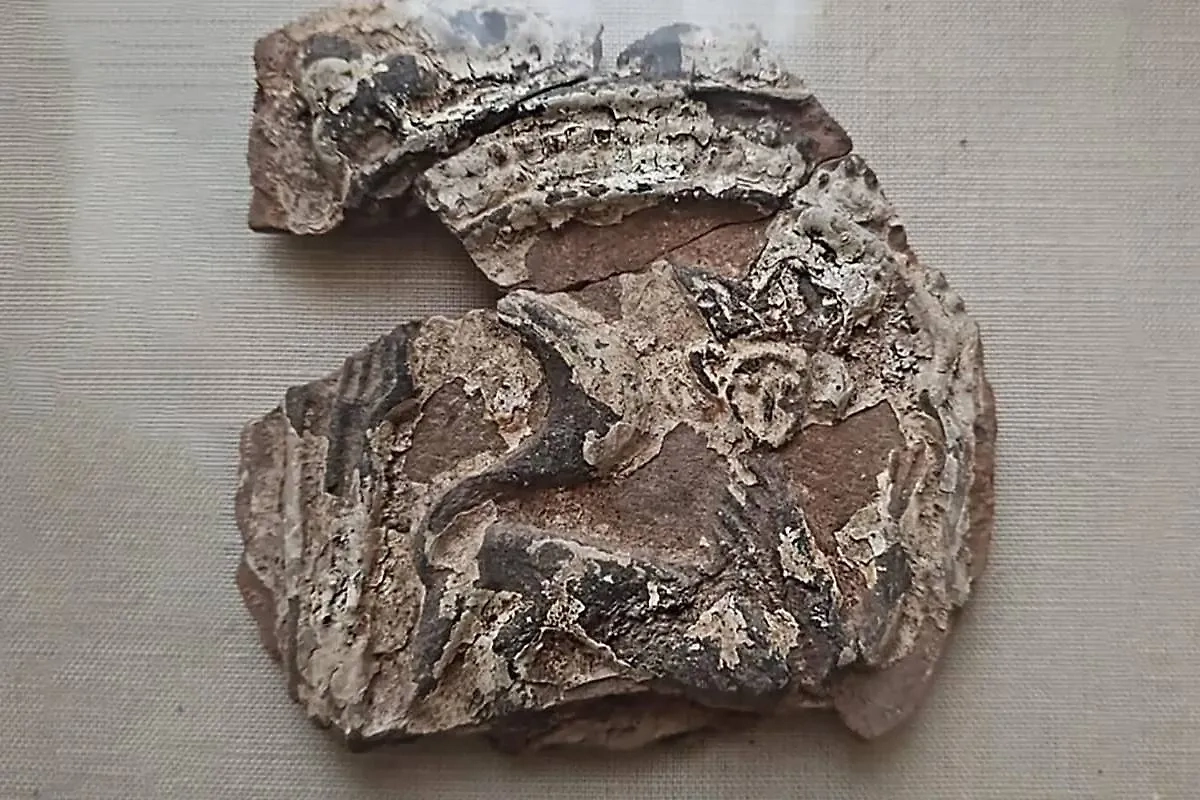 Изразцы с кошкой в короне, которым больше 400 лет. Обложка © Пресс-служба Департамента культурного наследия города Москвы