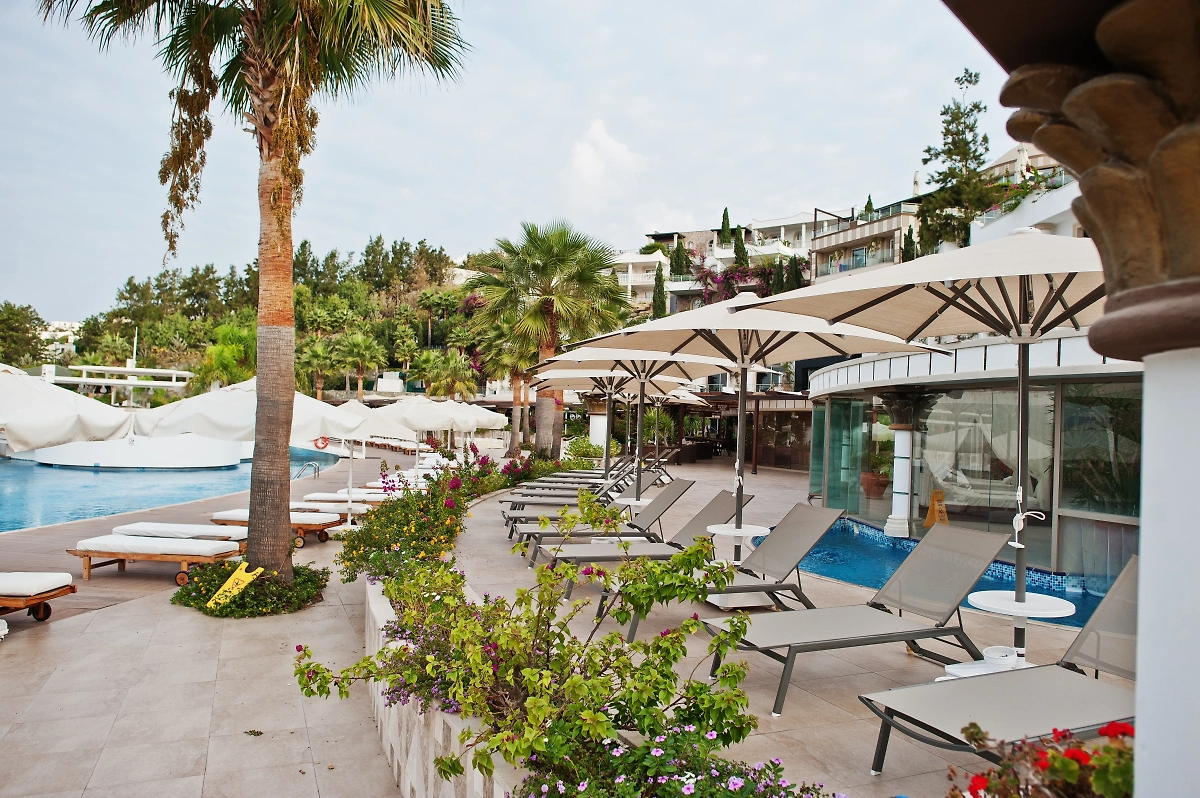 Обложка © freepik.com/ASphotofamily