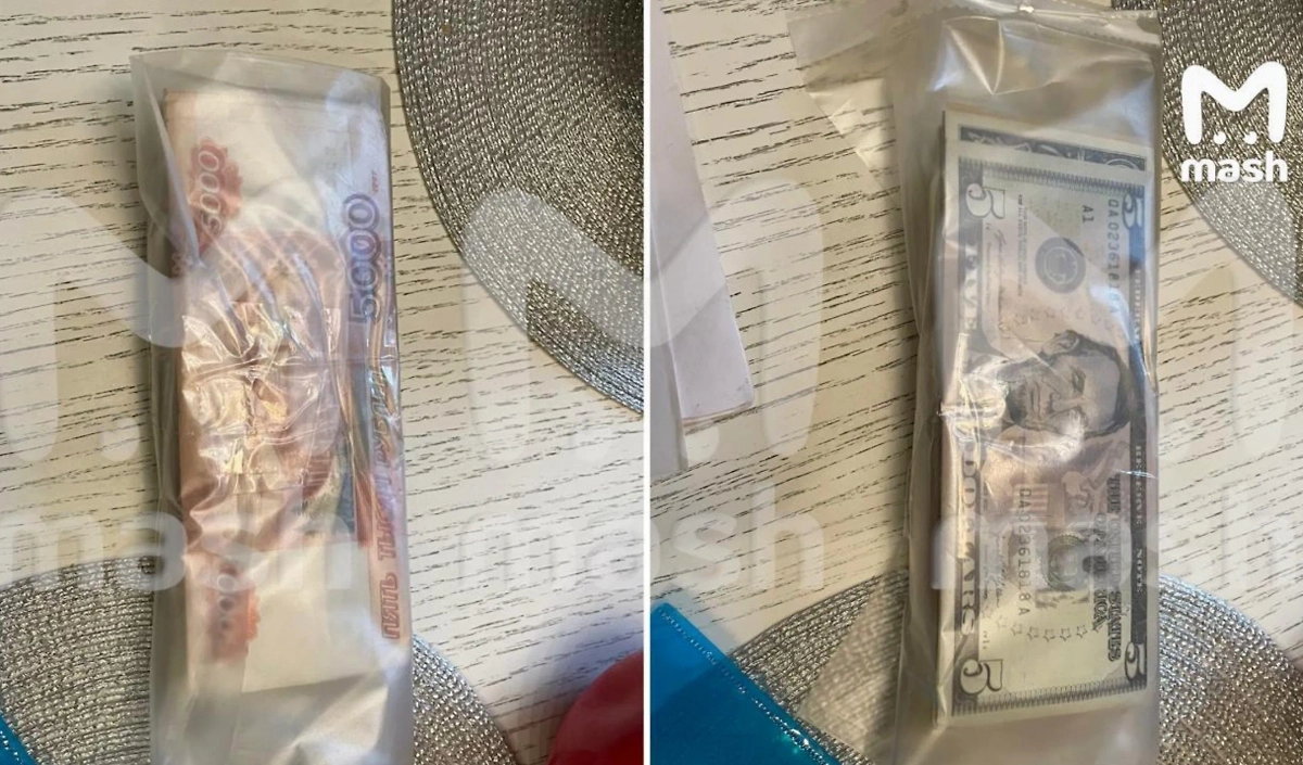 Результаты обыска в доме Владимира Любарского. Фото © Telegram / Mash